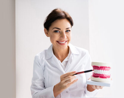 Dentist in Markham showing a model of teeth sturcture.